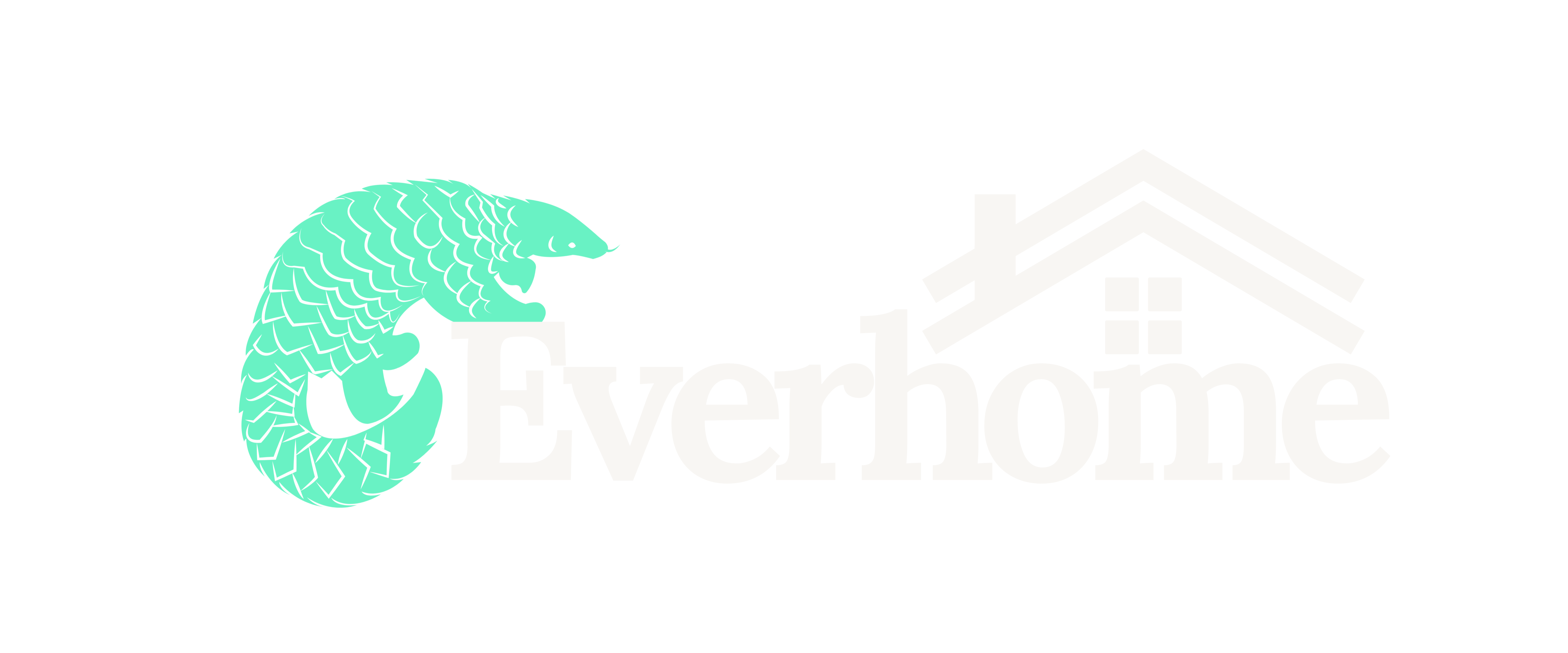 Everhome Roofing